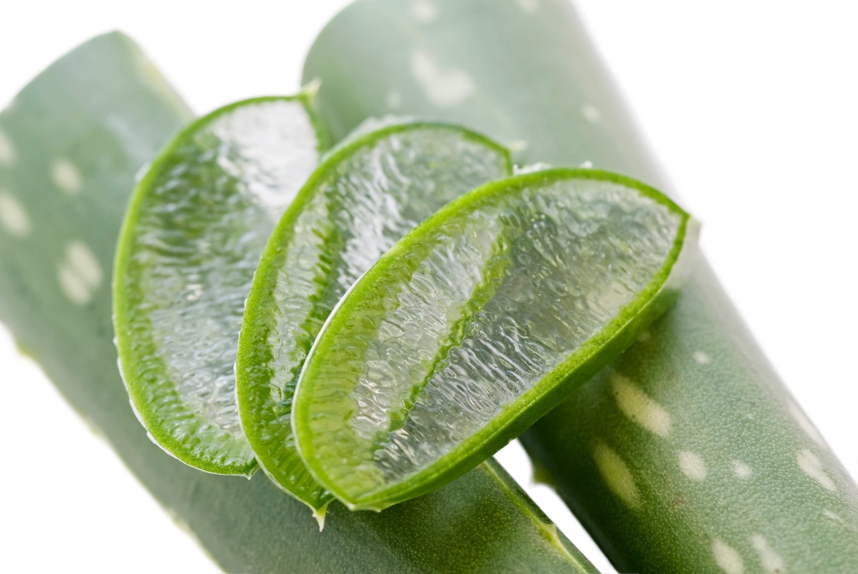 Actif : Aloe Vera